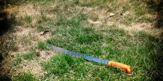 How to Cut Your Lawn With a Machete